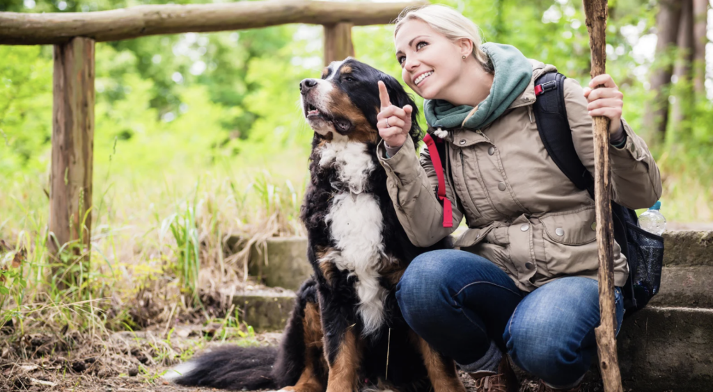 Travellers’ Guide to Dog Walks & Hikes in Squamish