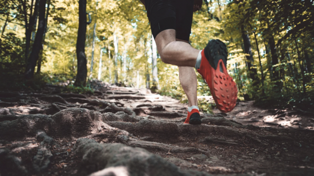 Squamish Trails: Explore the Great Outdoors in Squamish’s Vast Trail Network