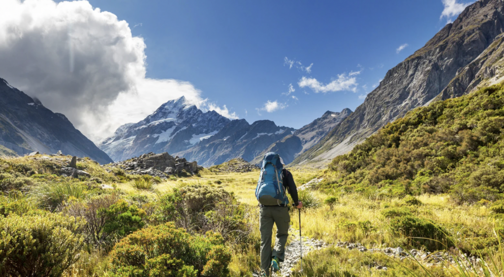 Walking Squamish’s Estuary Trail