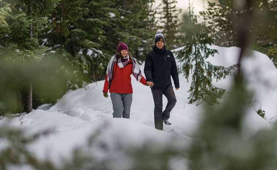 Experience Winter The Way It’s Supposed to Be at Sea to Sky Gondola