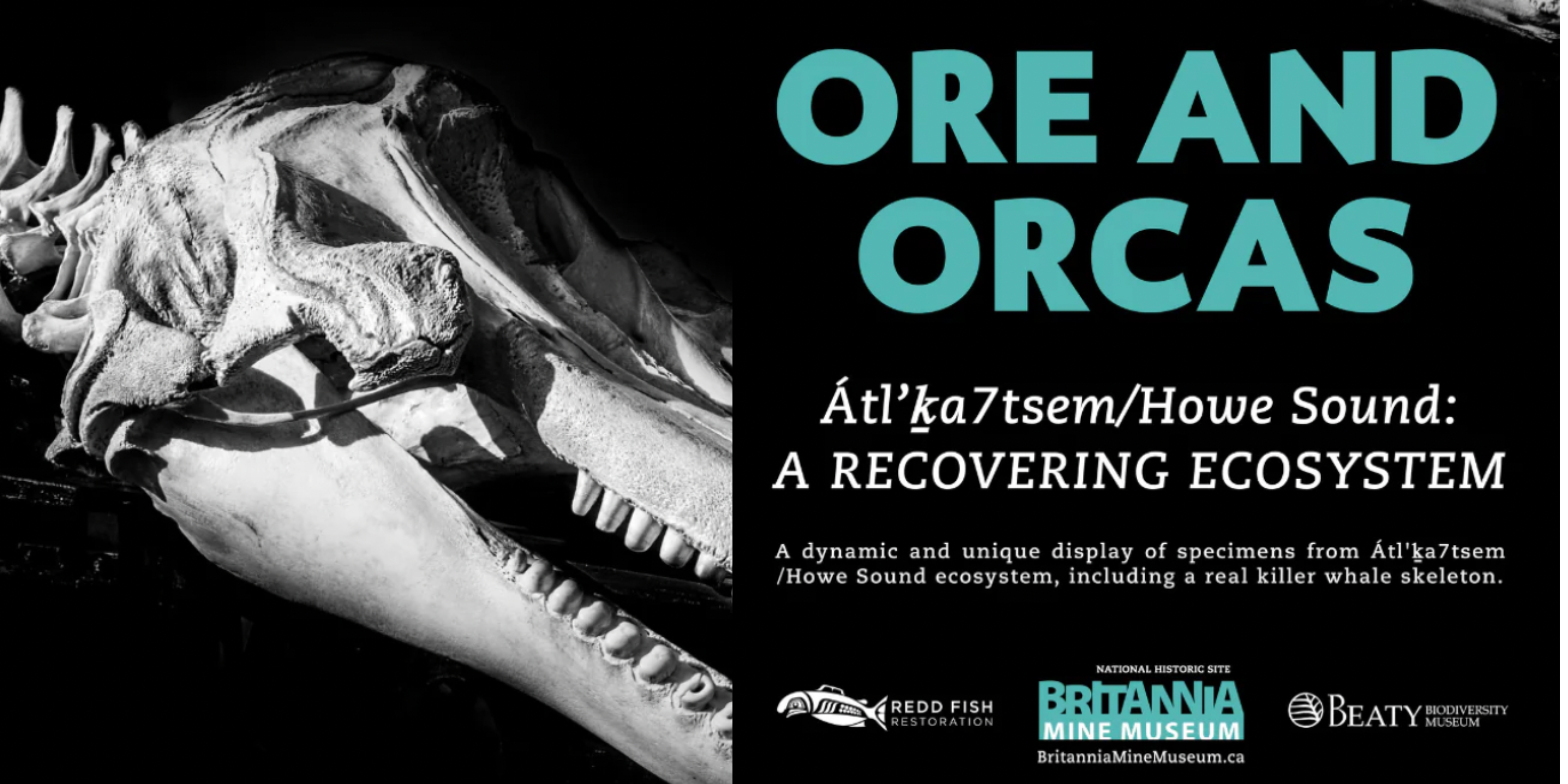 Ore & Orcas: The Remediation of Howe Sound | Átl’ḵa7tsem