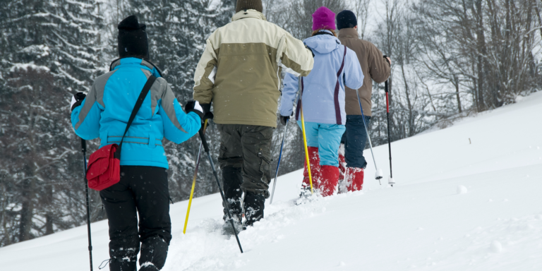 Explore Snowshoeing Adventures Around Squamish